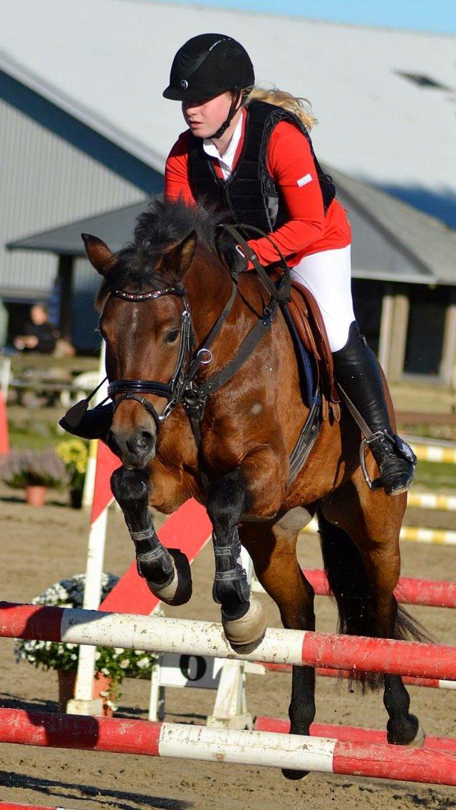 New Forest Vognmandgårdens Bernadotte billede 19