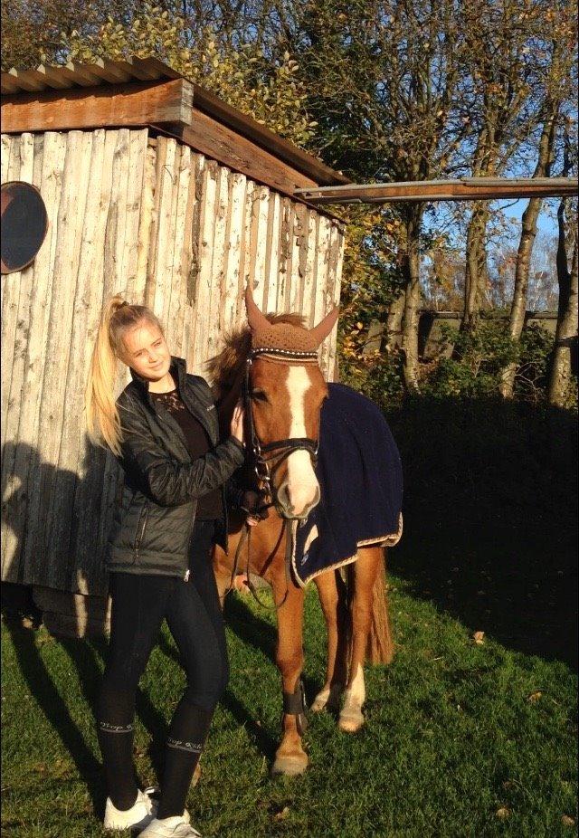 Anden særlig race Nice Suprice billede 4