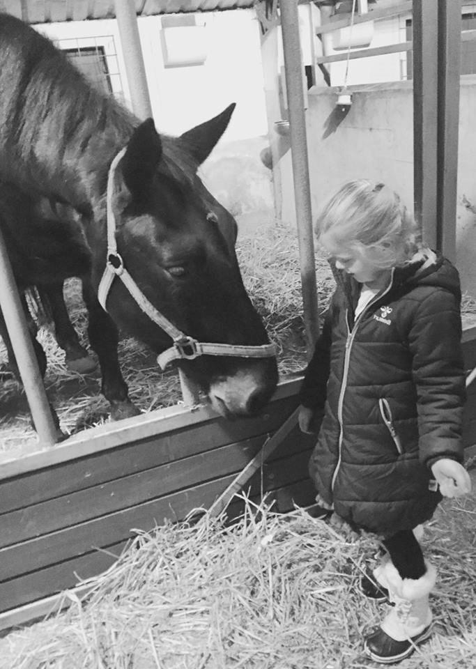 Oldenborg Loke søndergård billede 11