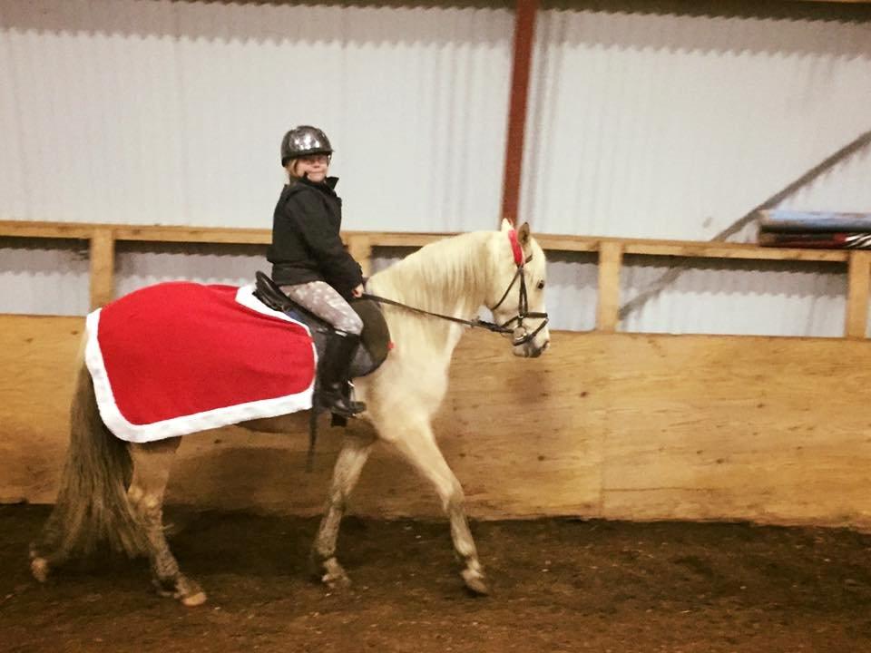 Palomino Topazes Conquistador billede 8
