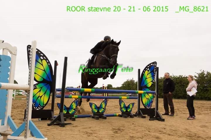 Anden særlig race Azak billede 14