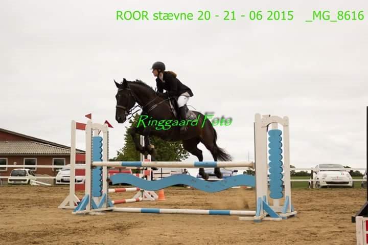 Anden særlig race Azak billede 19