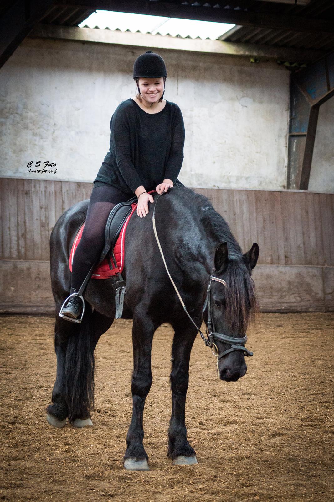 Frieser Imalia van schäfer - CS Foto billede 2