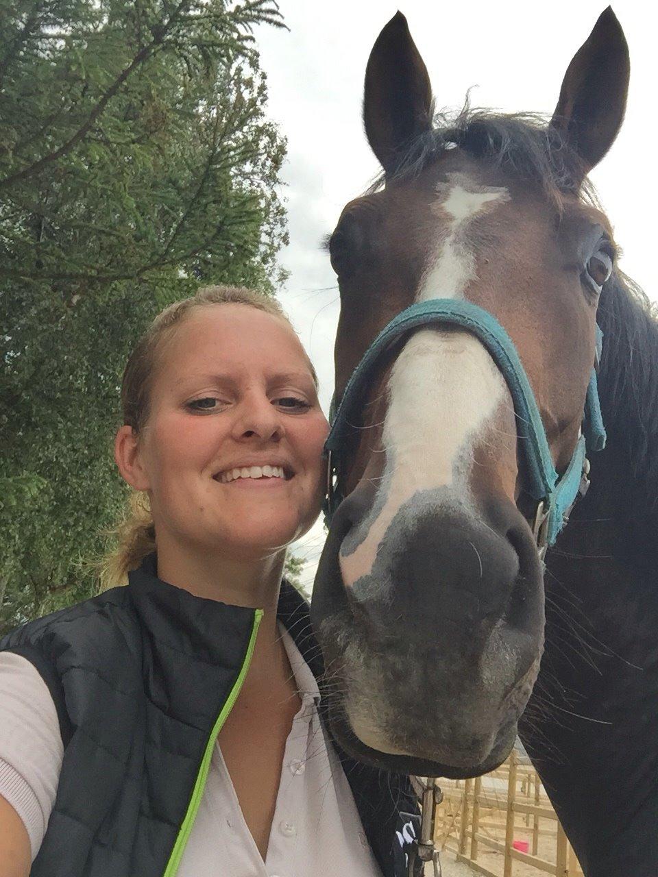 Dansk Varmblod Atterupgaards Lorelei billede 11