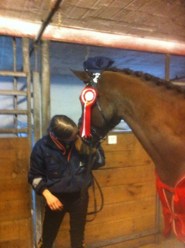 Dansk Varmblod Landlyst royal destiny - fasterlavns stævne hun var dygtig poitihest 😜 billede 5