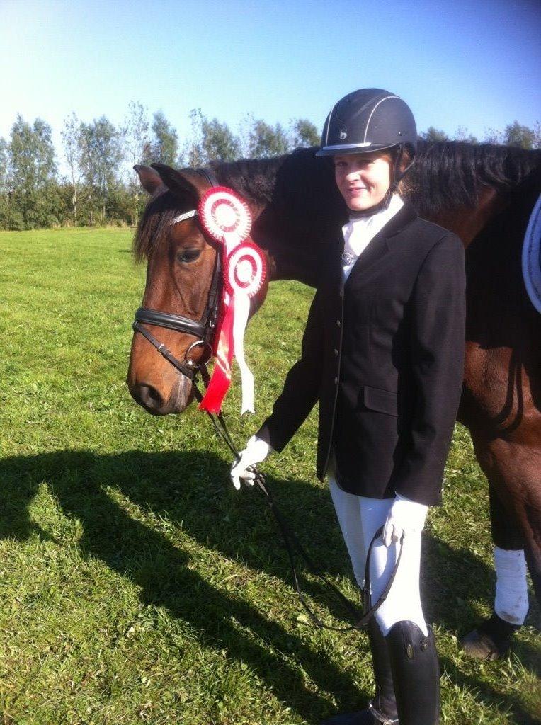 Dansk Varmblod Landlyst royal destiny billede 2