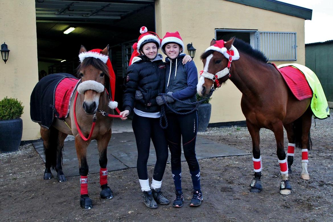 Anden særlig race Princess // P // My one and only billede 19