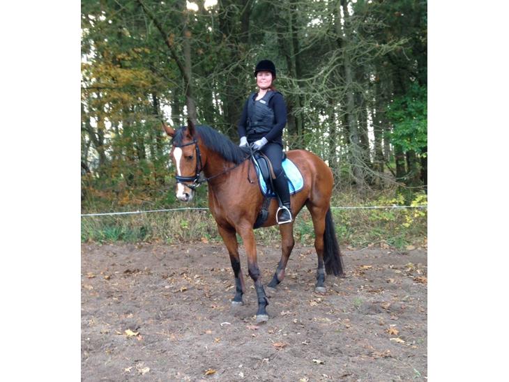 {{currentPhoto.altText}} billede {{currentPhoto.number}}