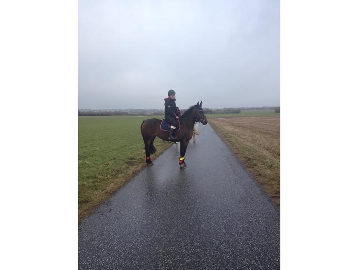 {{currentPhoto.altText}} billede {{currentPhoto.number}}