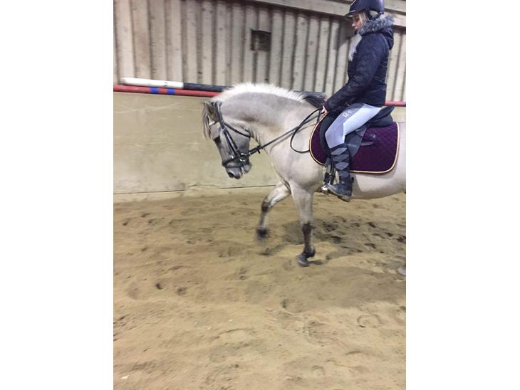 {{currentPhoto.altText}} billede {{currentPhoto.number}}