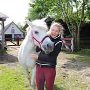 Anden særlig race Amidas<3