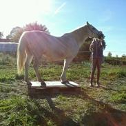 Anden særlig race Fnug