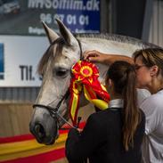 Pura Raza Española GOLOSINA