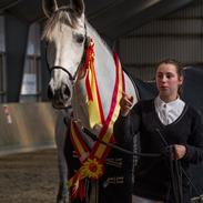 Pura Raza Española GOLOSINA