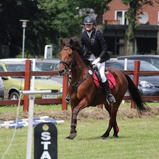 Anden særlig race Balder
