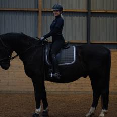 Oldenborg Obelix - Risebjerg