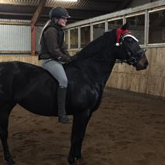 Oldenborg Brandsmarks dina