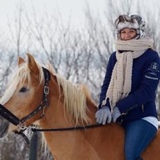 Haflinger Rascitta