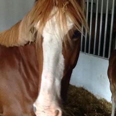 Frederiksborg Vestergårds merci