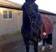 Oldenborg Lukas
