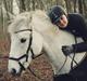 Anden særlig race Silver Shy