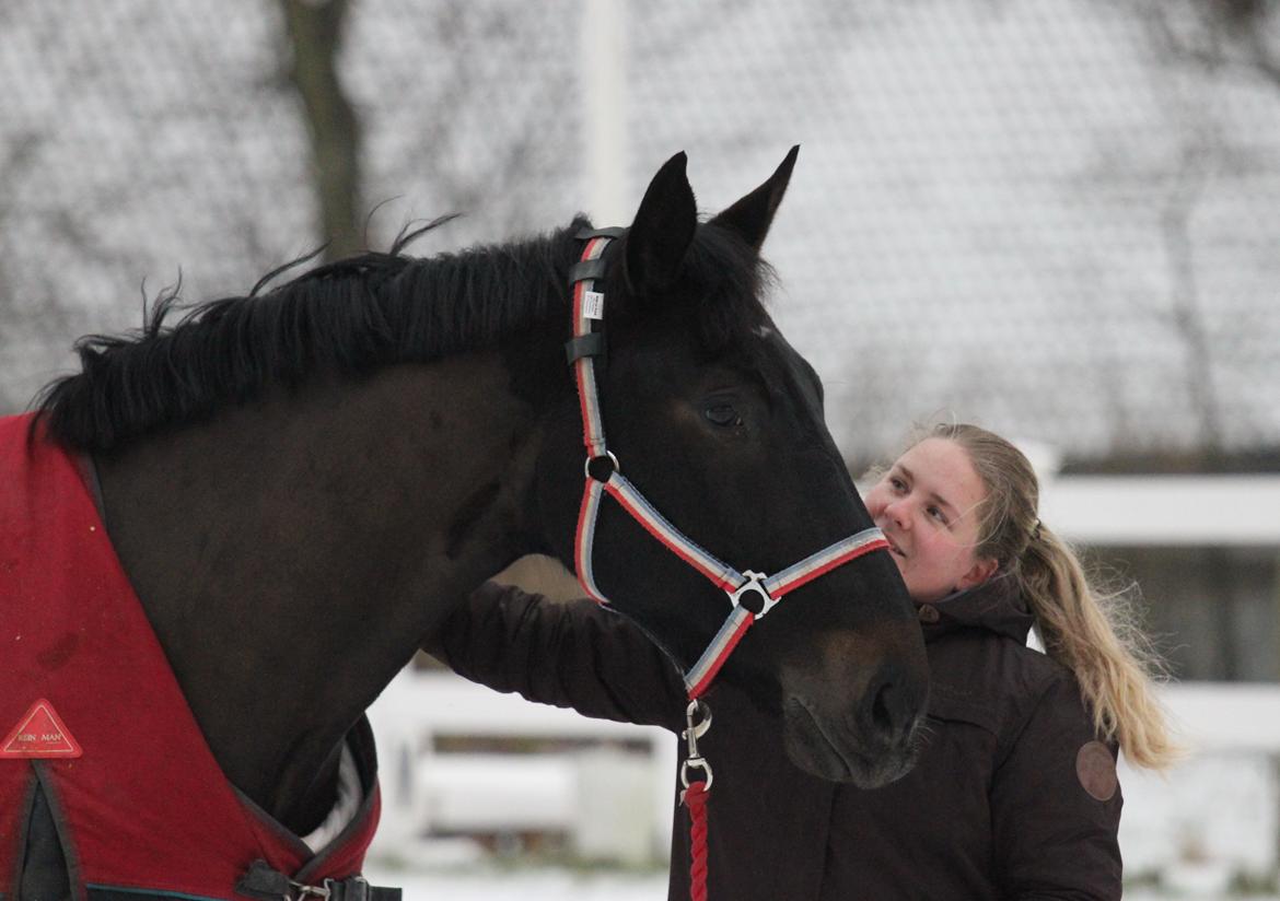 Oldenborg Marina billede 33