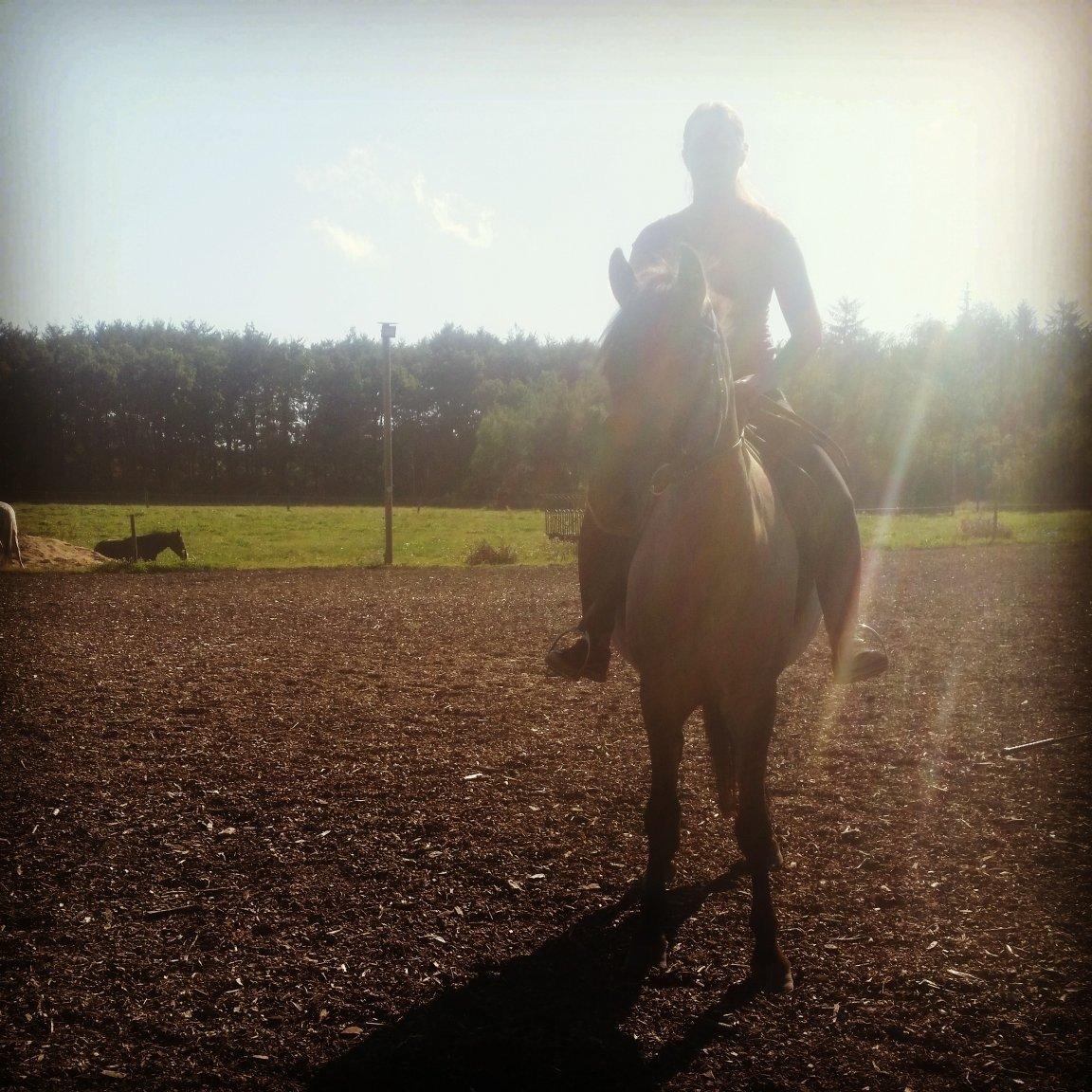 Anden særlig race Tess billede 15