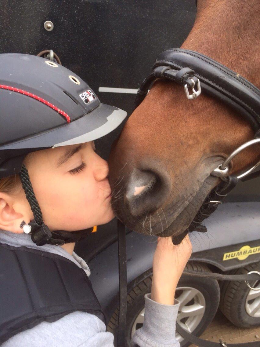 New Forest Donnatello DJ billede 5