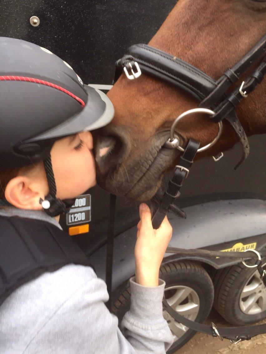 New Forest Donnatello DJ billede 6