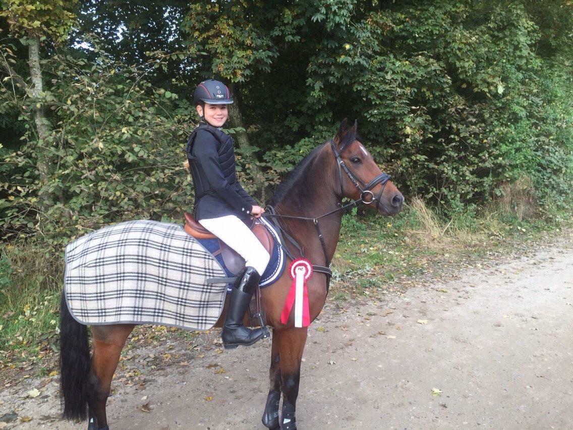 New Forest Donnatello DJ billede 8