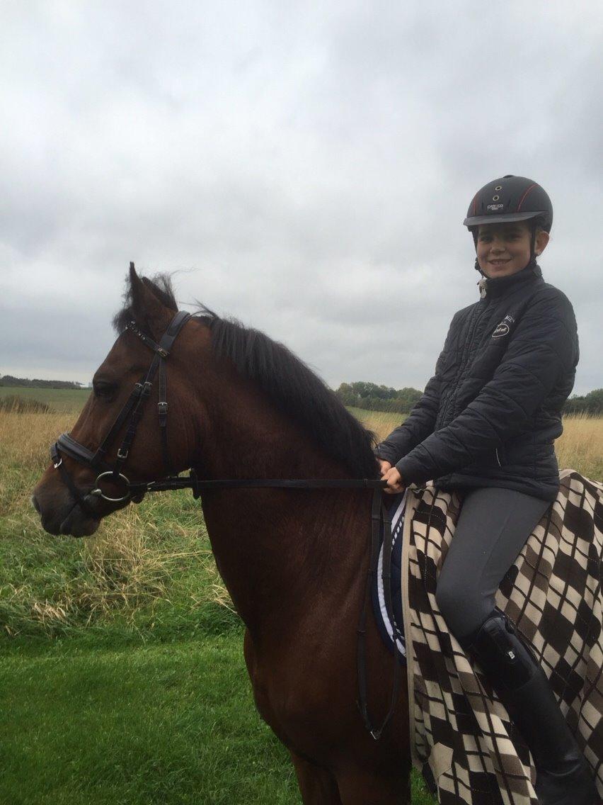 New Forest Donnatello DJ billede 11