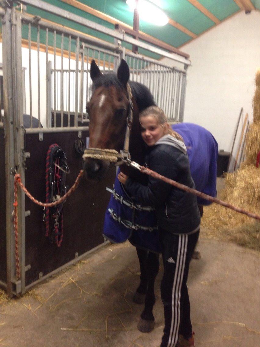 New Forest Donnatello DJ billede 12