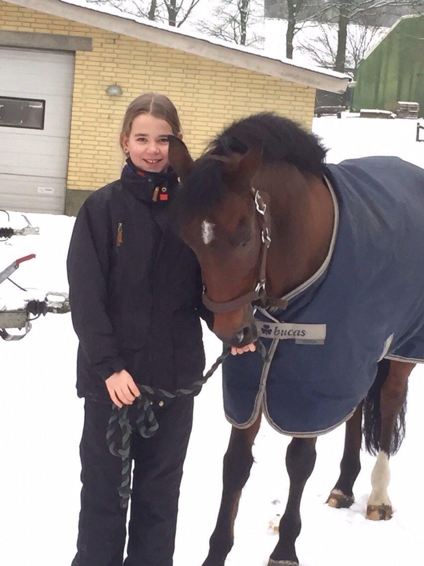 New Forest Donnatello DJ billede 14