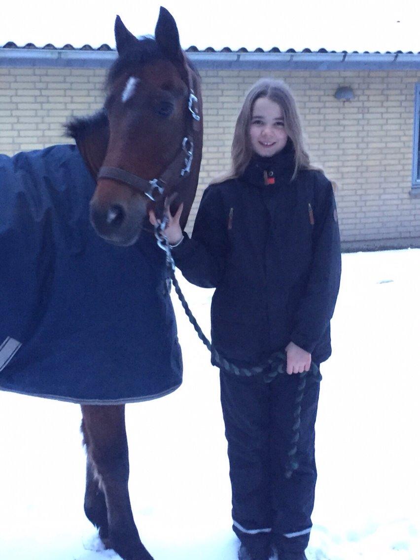 New Forest Donnatello DJ billede 21