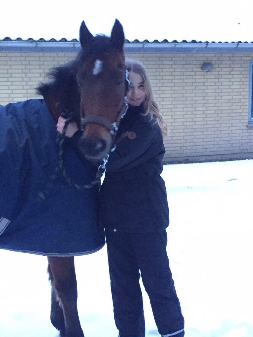 New Forest Donnatello DJ billede 22