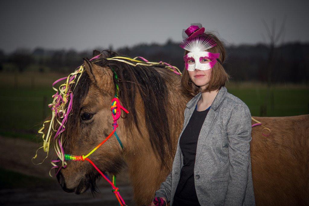 Islænder Melasól fra Smollerupgaard  billede 7