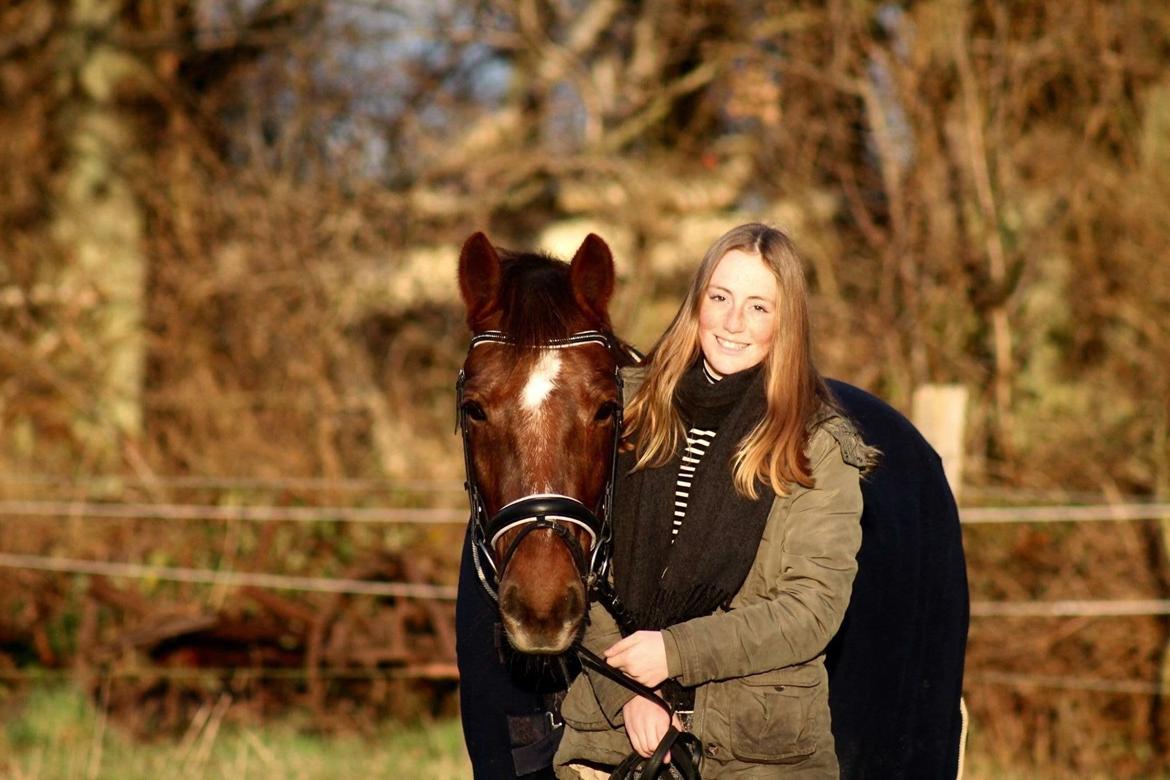 Connemara Quiva <3 - Velkommen til dejlige Q's profil :) billede 1