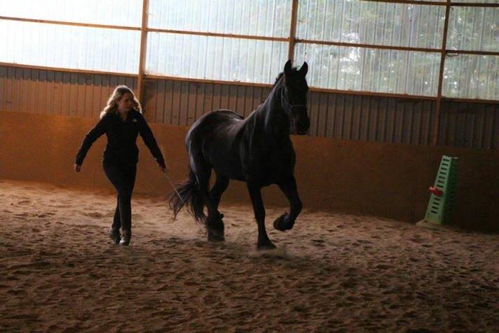 Frieser Sietske - på ridelejer første gang sammen billede 4