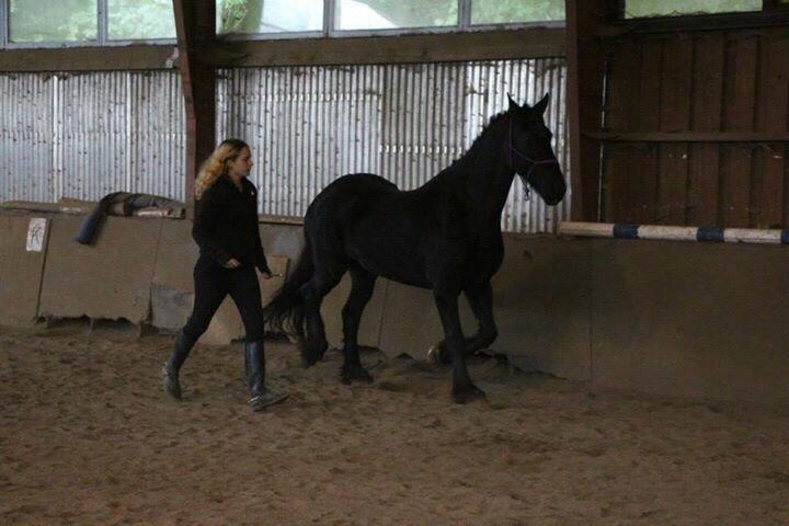 Frieser Sietske - på ridelejer første gang sammen billede 5