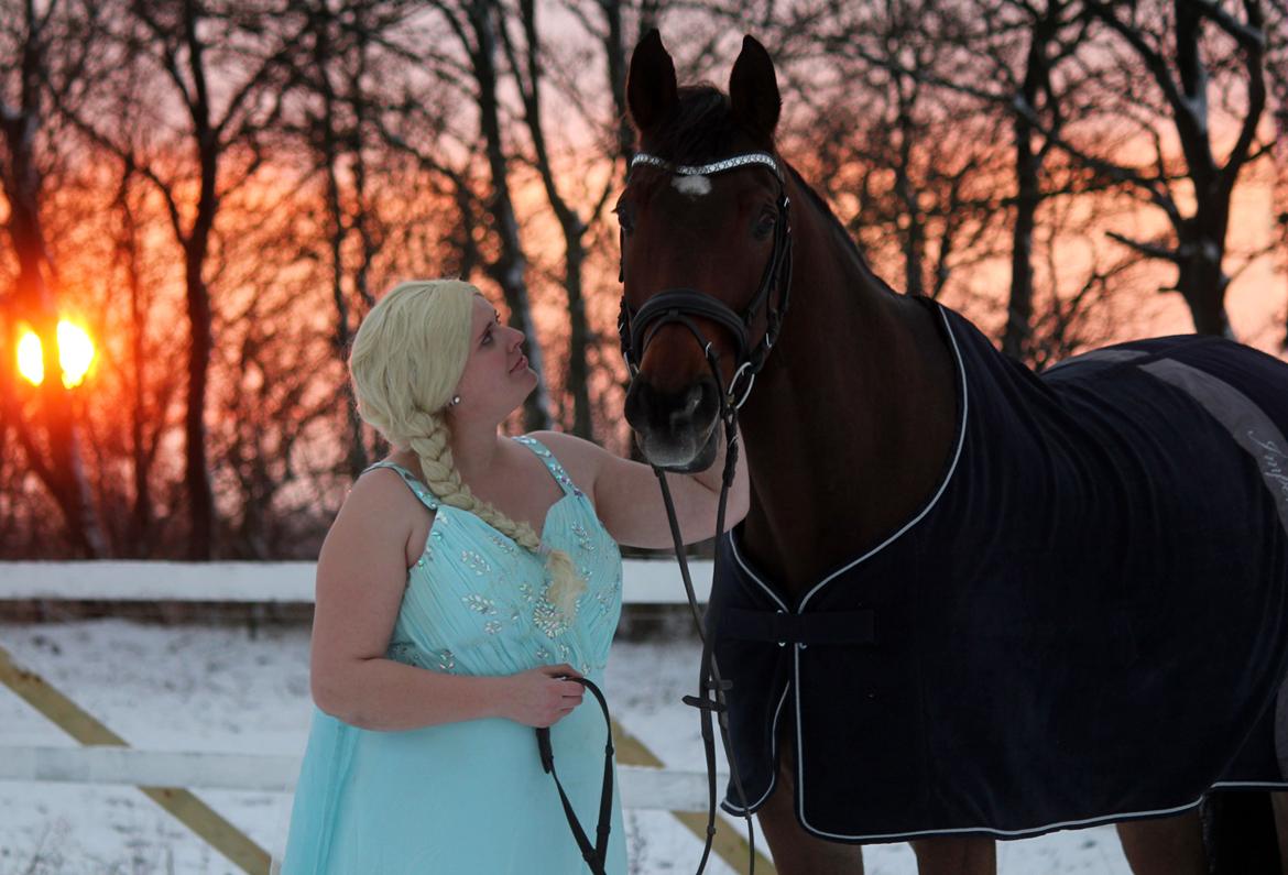 Anden særlig race Dalvangs Casper - Frozen photoshoot i sneen :) billede 36