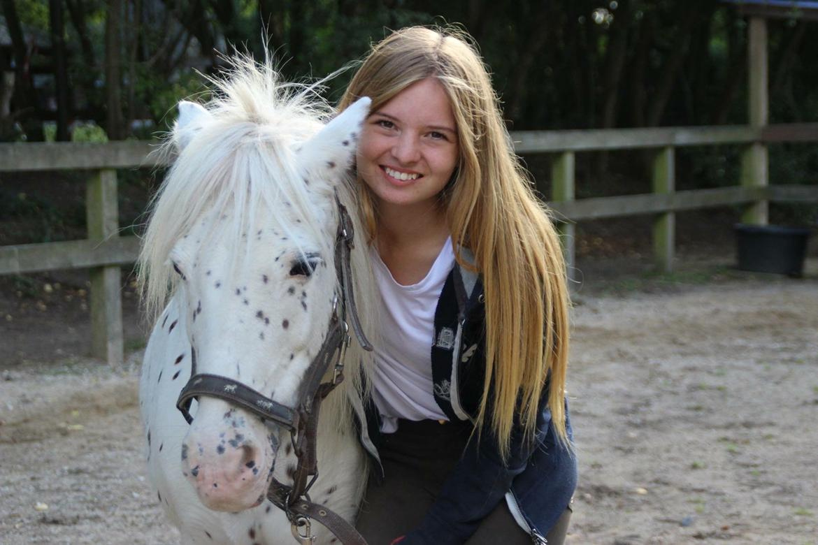 Knabstrupper Susi af Kaldred *Prinsessen* billede 31