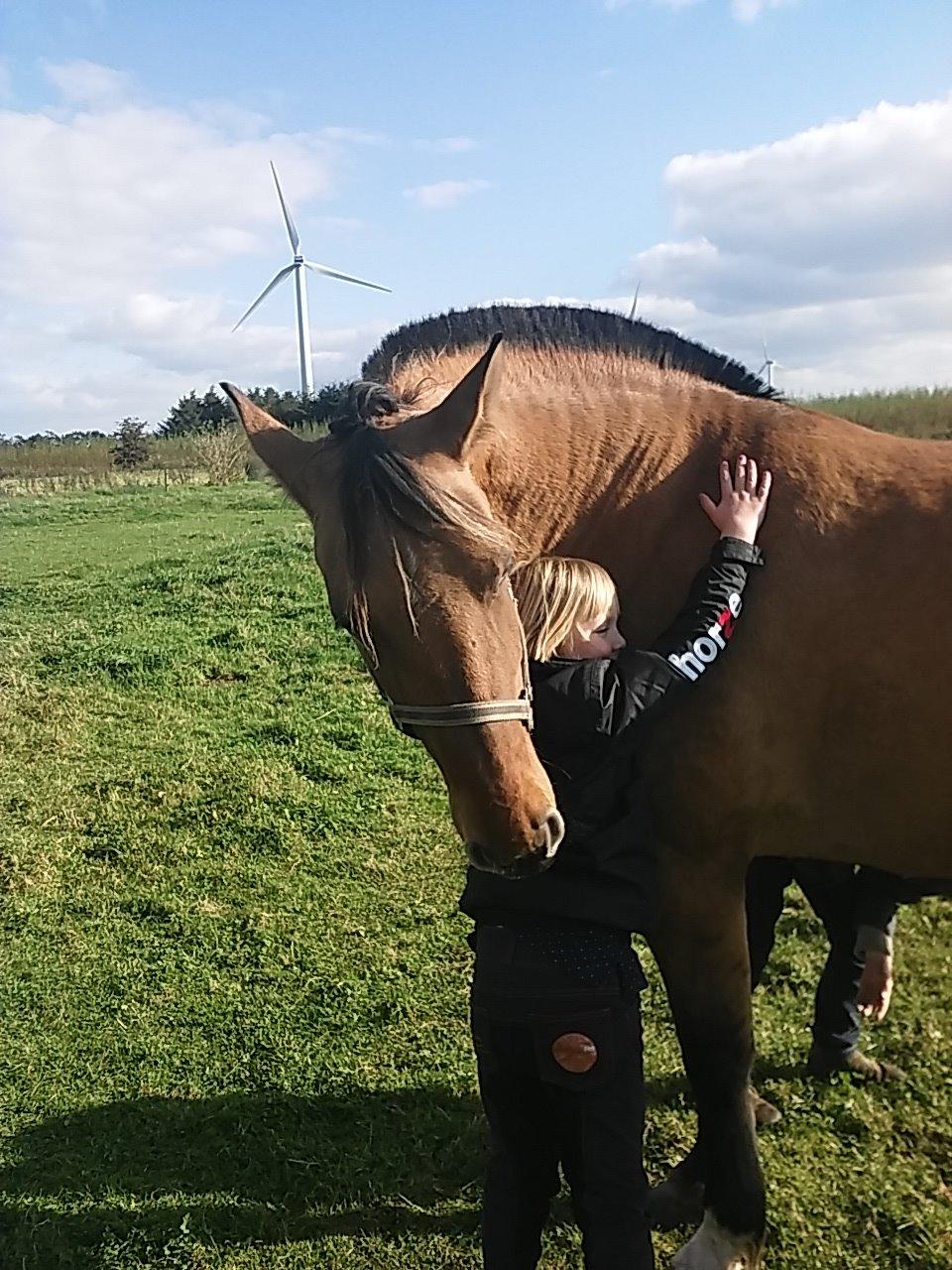 Anden særlig race chelo billede 5