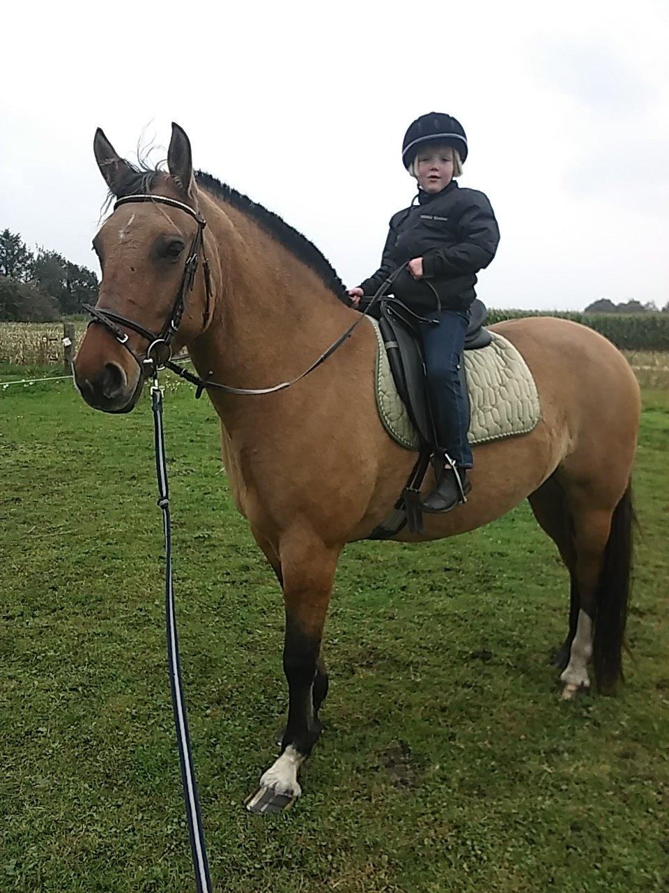 Anden særlig race chelo billede 7