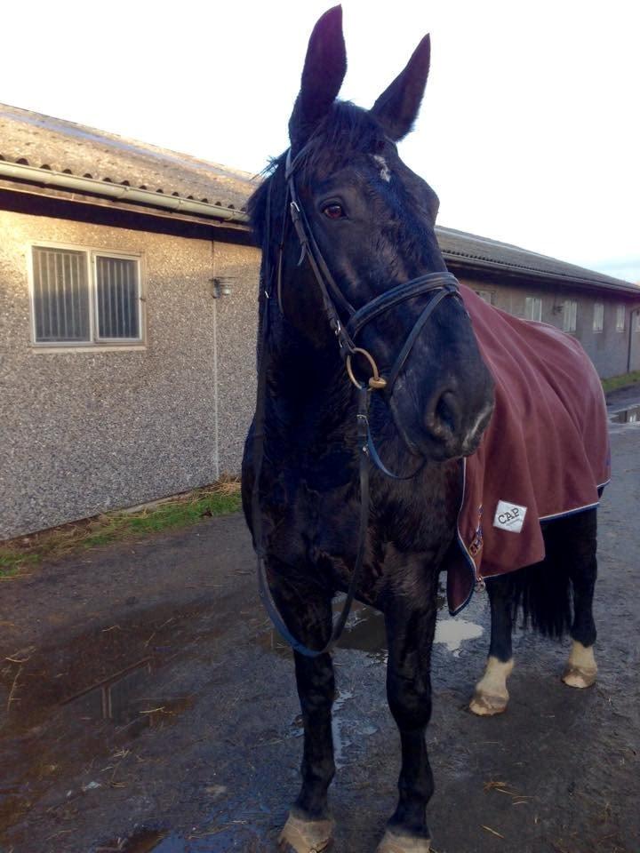 Oldenborg Lukas billede 1