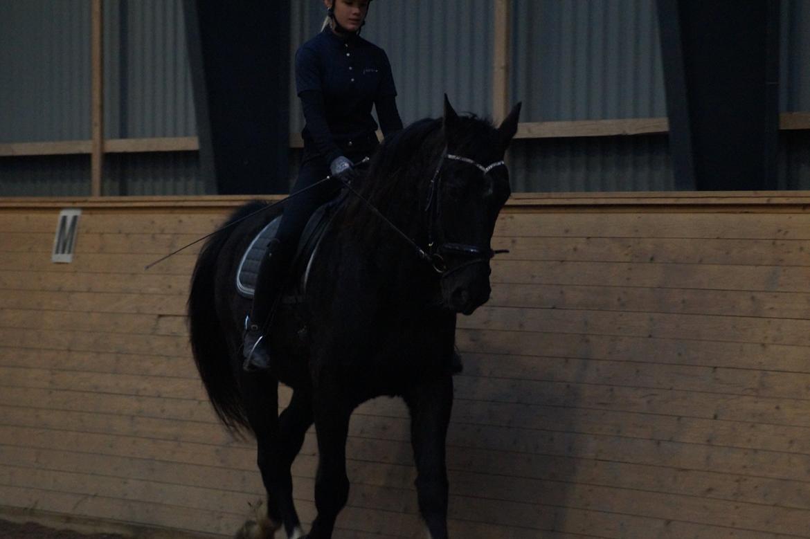 Oldenborg Obelix - Risebjerg billede 2