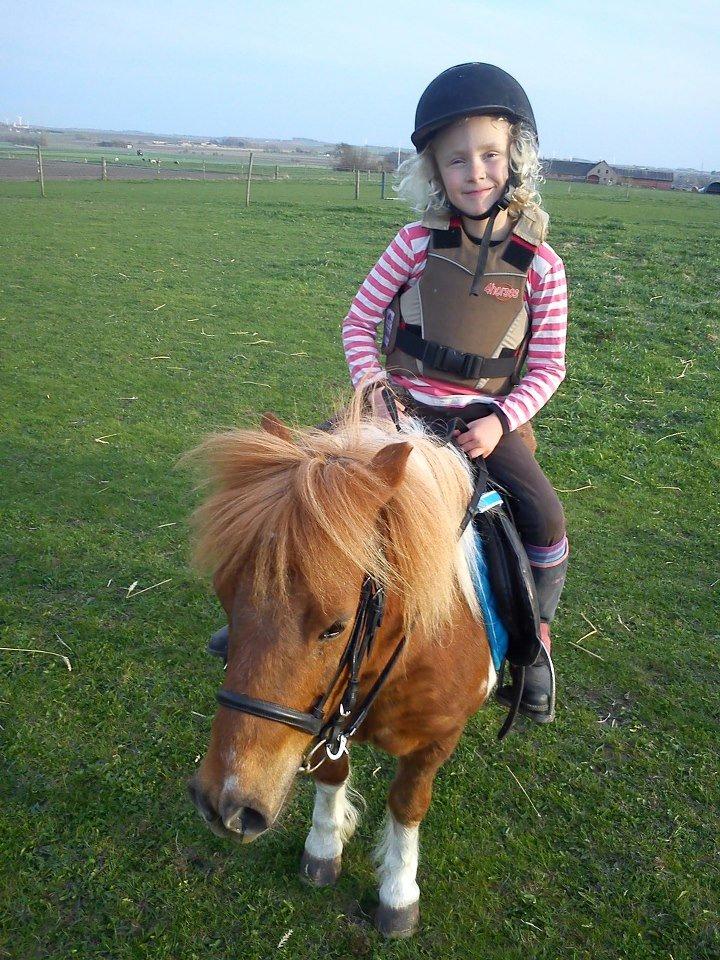 Shetlænder Tarzan -  Min lillesøster og Tarzan billede 3