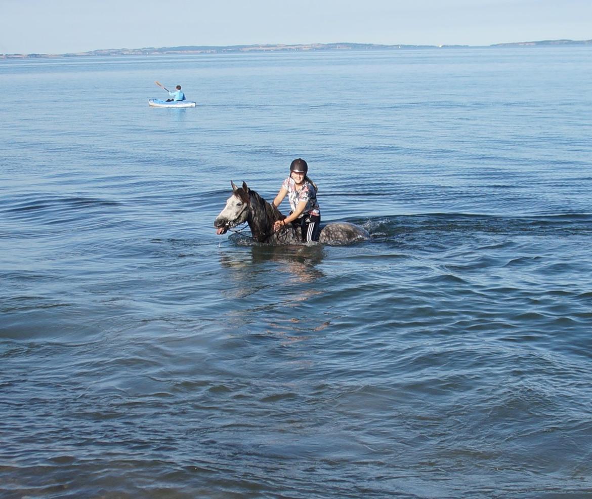 Connemara Bisgaard's Sputnik billede 11