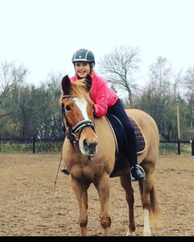 New Forest Skovly's Donna billede 3