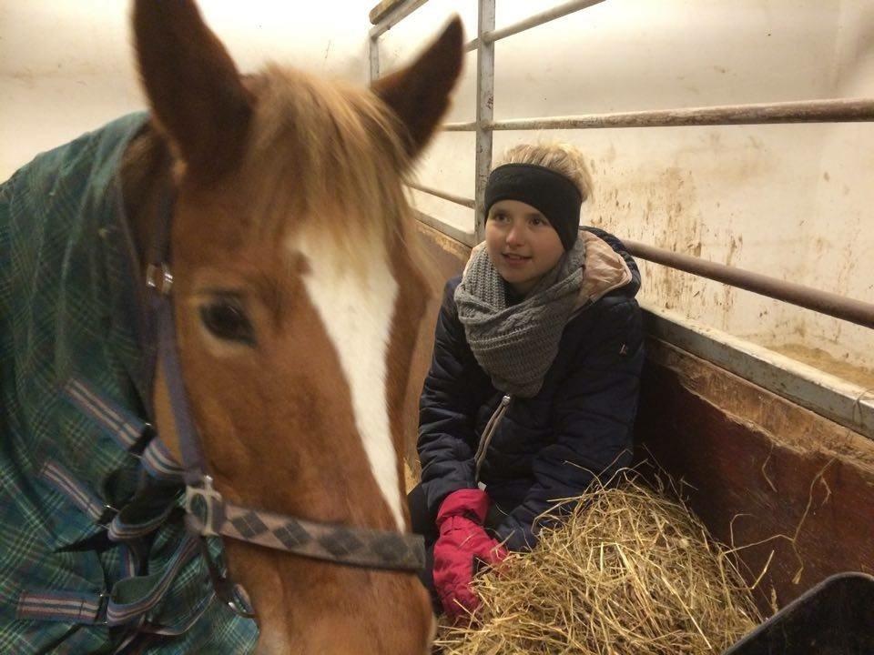 New Forest Skovly's Donna billede 6