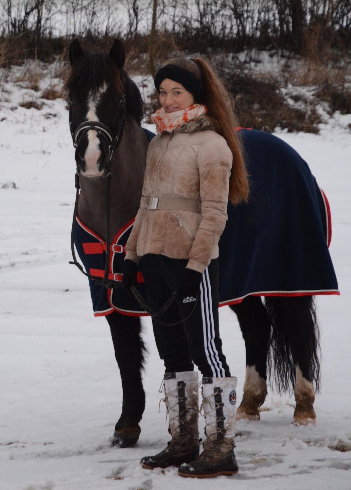 Anden særlig race Silver - Silver og jeg i sneen <3 billede 13
